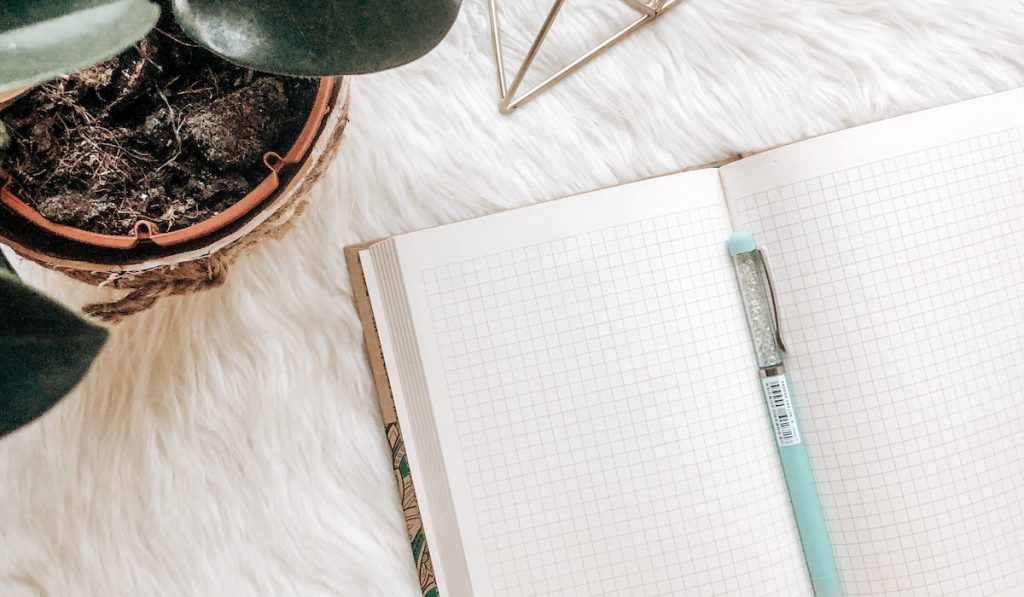 Open Notebook on table and a pen with home plant 